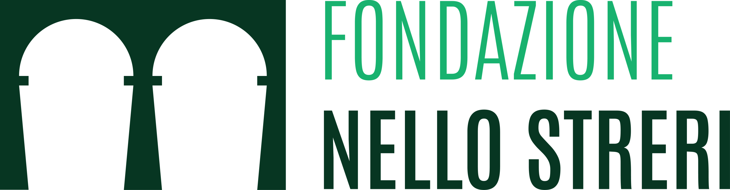 Fondazione Nello Streri Logo